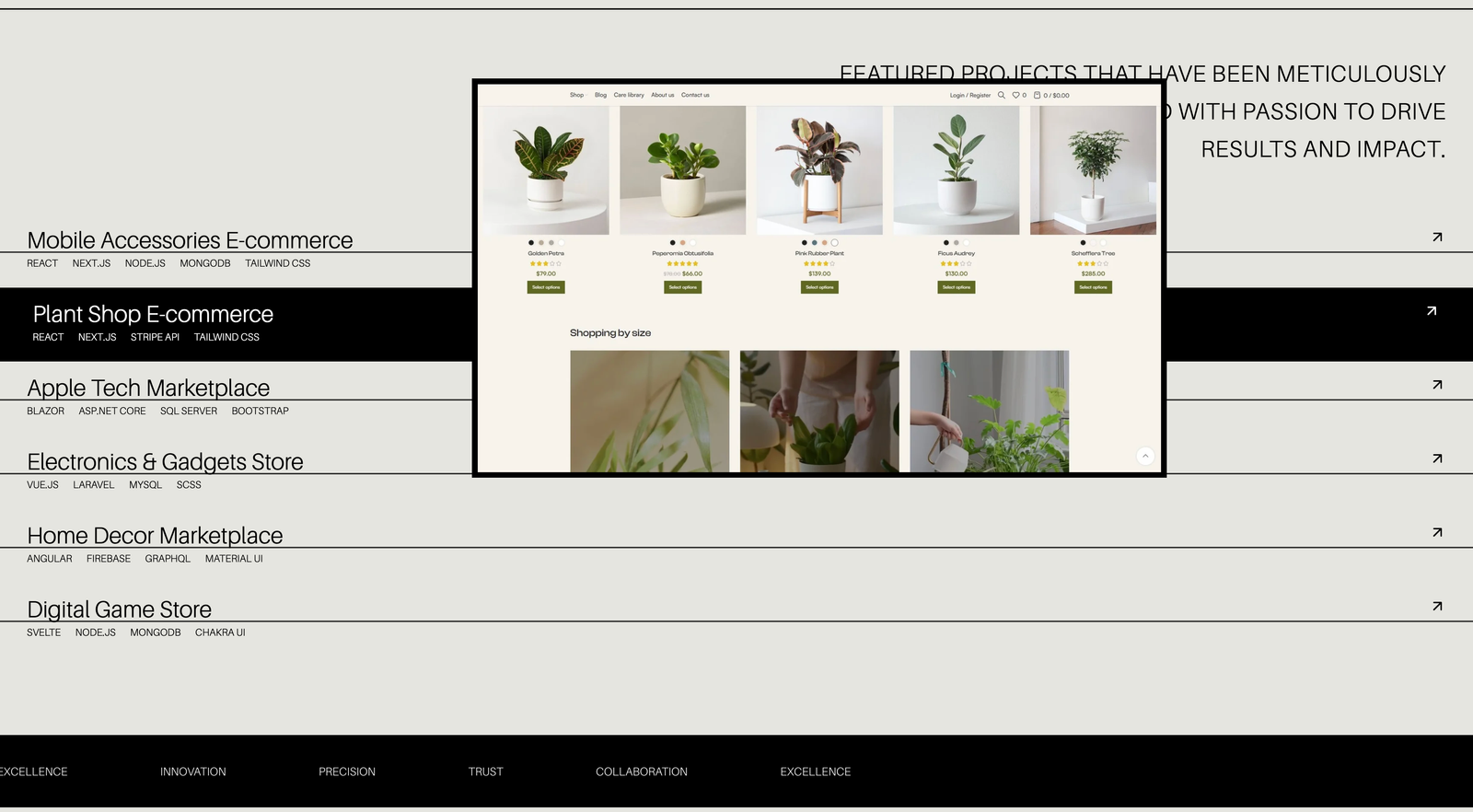 3D Portfolio — Scene detail